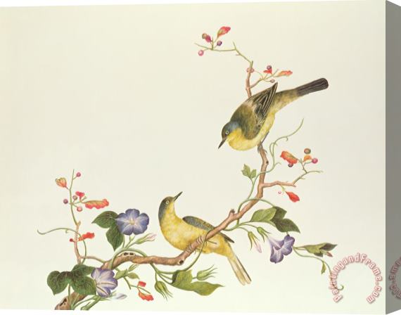 Chinese School Yellow Wagtail With Blue Head Stretched Canvas Painting / Canvas Art
