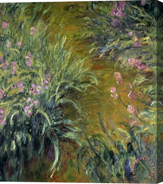 Claude Monet Iris Stretched Canvas Print / Canvas Art