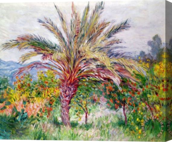 Claude Monet Palm Tree at Bordighera Stretched Canvas Painting / Canvas Art