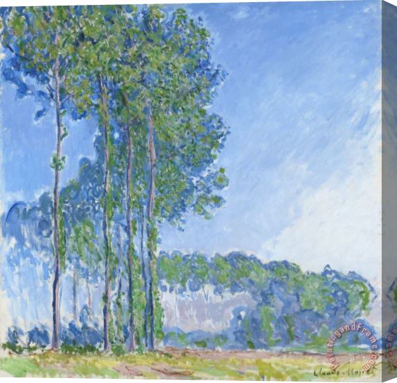 Claude Monet Poplars Stretched Canvas Painting / Canvas Art