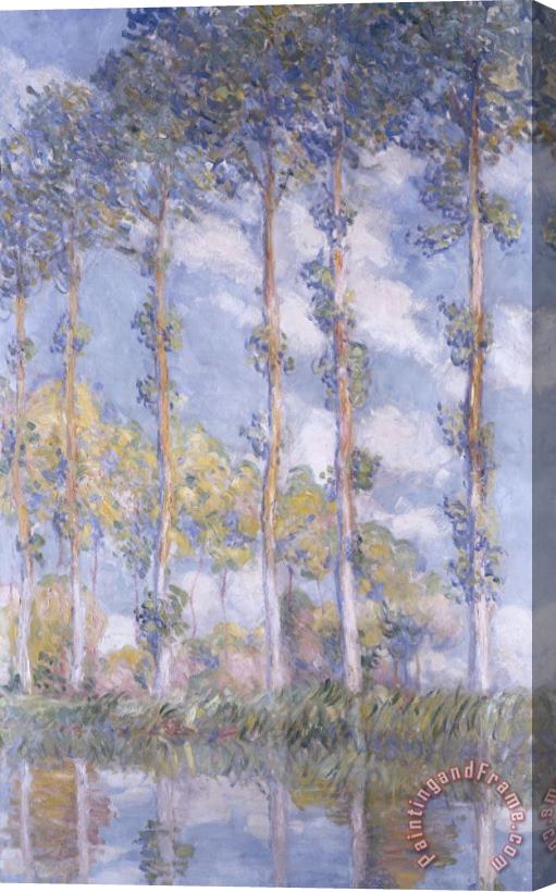 Claude Monet The Poplars Stretched Canvas Print / Canvas Art