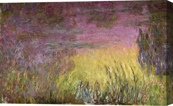 Claude Monet Waterlilies at Sunset Stretched Canvas Print / Canvas Art