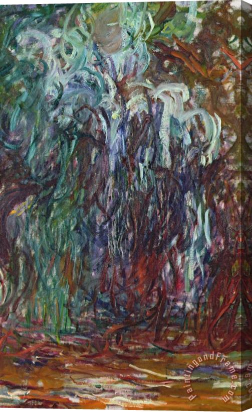 Claude Monet Weeping Willow Stretched Canvas Painting / Canvas Art