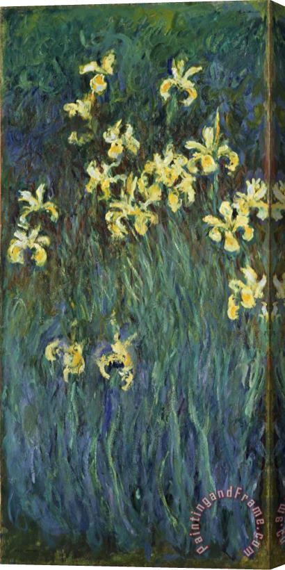 Claude Monet Yellow Irises Stretched Canvas Print / Canvas Art