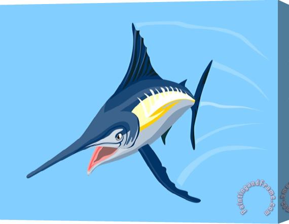 Collection 10 Sailfish Diving Stretched Canvas Print / Canvas Art
