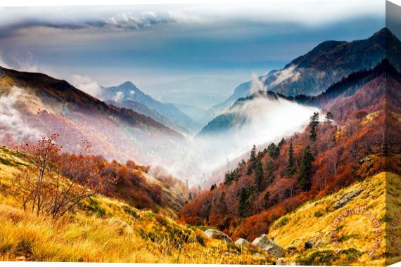 Collection 12 Central Balkan National Park Stretched Canvas Print / Canvas Art