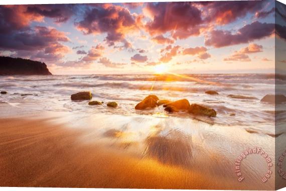 Collection 12 Golden Beach Stretched Canvas Print / Canvas Art