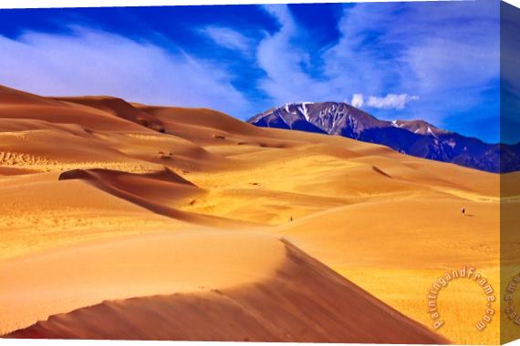 Collection 14 Beauty of The Dunes Stretched Canvas Print / Canvas Art