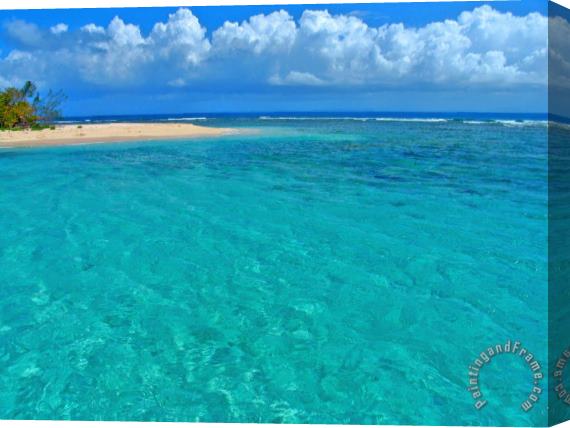 Collection 14 Caribbean Water Stretched Canvas Print / Canvas Art