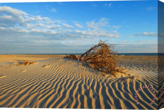 Collection 3 Hatteras Sands of Time Stretched Canvas Print / Canvas Art