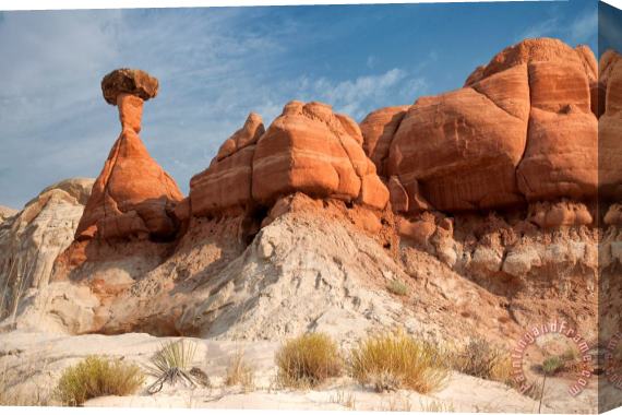 Collection 6 Arizona Toadstool Hoodoos Stretched Canvas Painting / Canvas Art