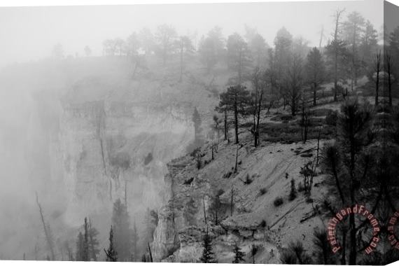 Collection 6 Bryce Canyon Fog Stretched Canvas Print / Canvas Art