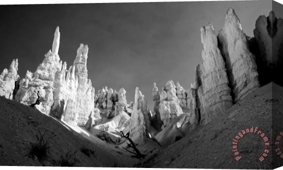 Collection 6 Bryce Canyon Infrared Stretched Canvas Print / Canvas Art