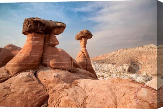 Collection 6 Desert Toadstool Hoodoos Stretched Canvas Print / Canvas Art
