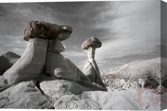 Collection 6 Toadstool Hoodoos Stretched Canvas Print / Canvas Art