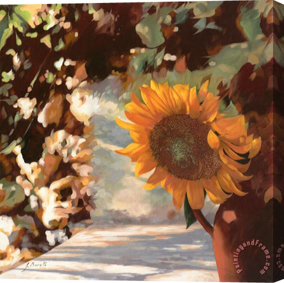 Collection 7 Il Girasole Stretched Canvas Print / Canvas Art