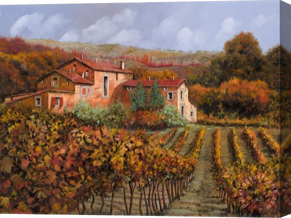 Collection 7 tra le vigne a Montalcino Stretched Canvas Painting / Canvas Art