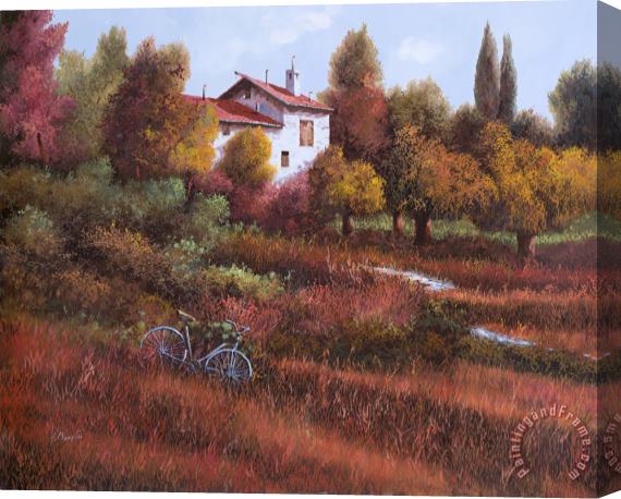 Collection 7 Una Bicicletta Nel Bosco Stretched Canvas Print / Canvas Art