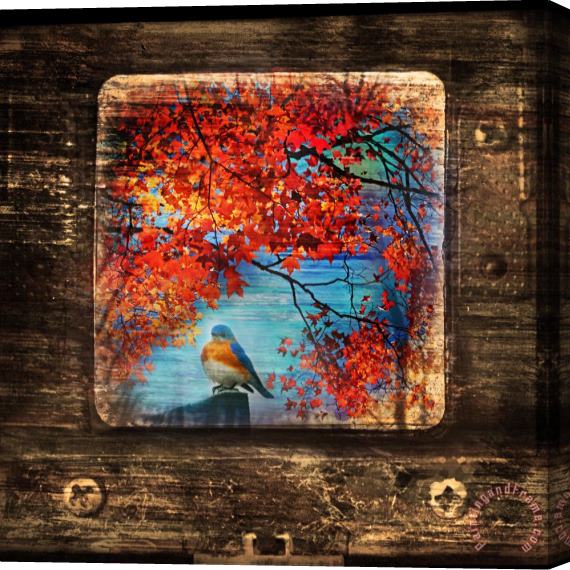 Collection 8 Autumn Bluebird Stretched Canvas Painting / Canvas Art