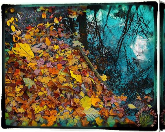 Collection 8 Autumn reflection Stretched Canvas Print / Canvas Art