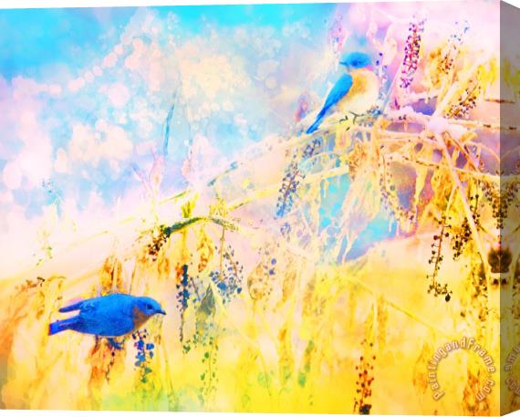Collection 8 Bluebirds return Stretched Canvas Painting / Canvas Art