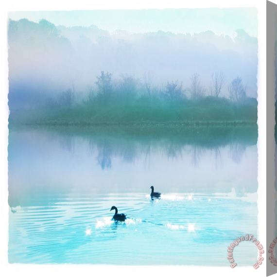 Collection 8 Calm water Stretched Canvas Painting / Canvas Art
