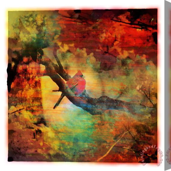 Collection 8 Cardinal Stretched Canvas Print / Canvas Art