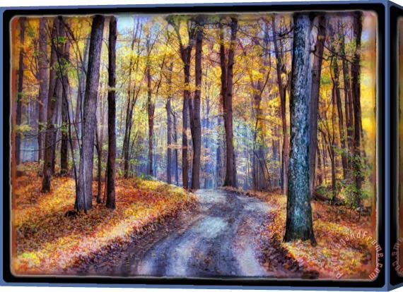 Collection 8 Going back home Stretched Canvas Print / Canvas Art