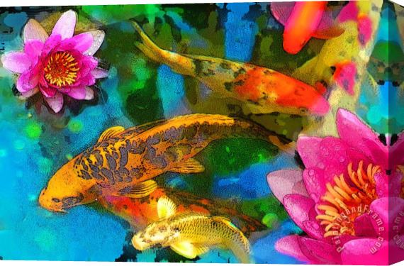 Collection 8 Koi play Stretched Canvas Print / Canvas Art