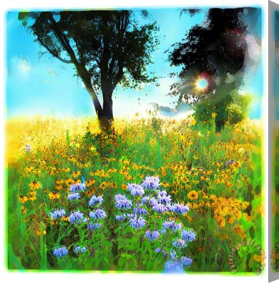 Collection 8 Prairie Sunrise Stretched Canvas Painting / Canvas Art