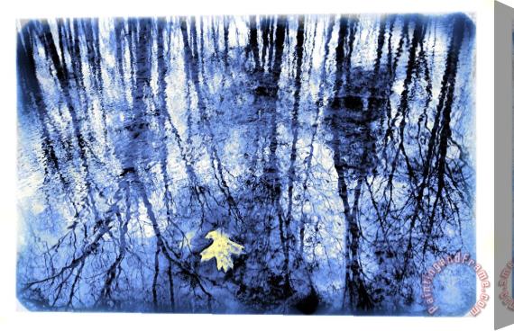Collection 8 Reflection in blue Stretched Canvas Print / Canvas Art