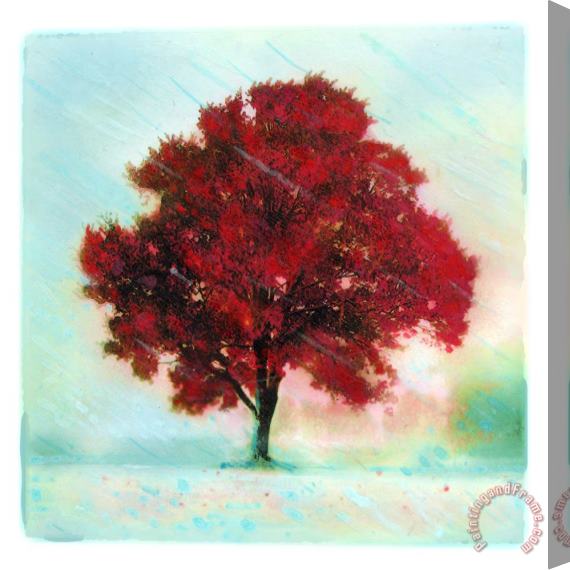 Collection 8 The red tree Stretched Canvas Painting / Canvas Art