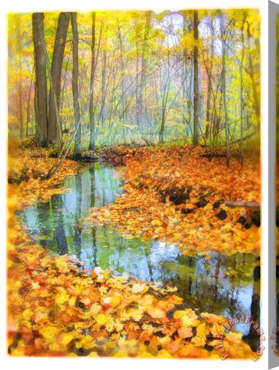 Collection 8 Woodland stream Stretched Canvas Painting / Canvas Art