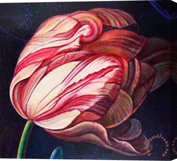 Collection Flower by Tim Maguire Stretched Canvas Painting / Canvas Art