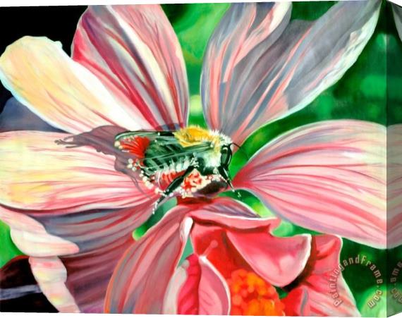 Collection The Bee Stretched Canvas Painting / Canvas Art