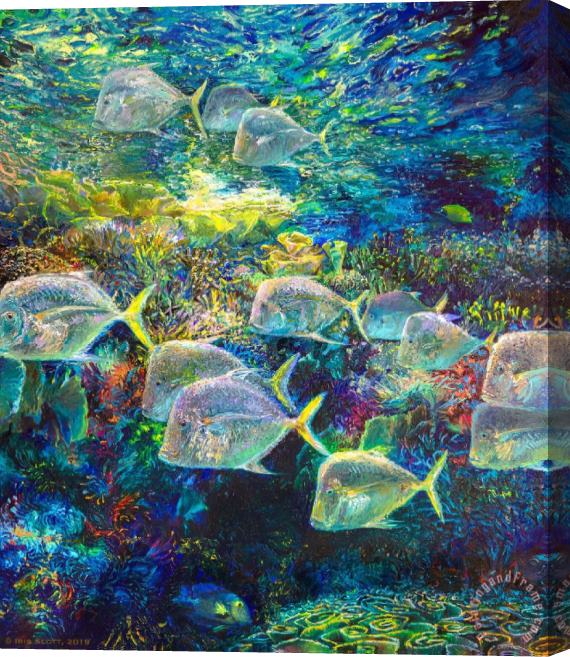 Collection Underwater Fish Stretched Canvas Painting / Canvas Art