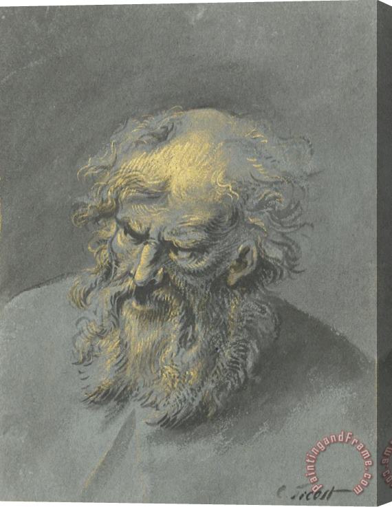 Cornelis Troost Kop Van Een Oude Man Met Baard (een Apostel of Filosoof) Stretched Canvas Print / Canvas Art