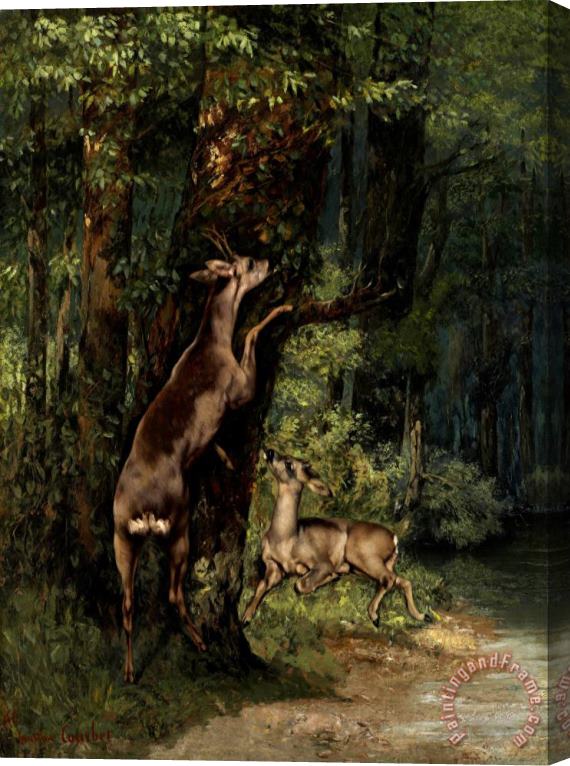 Courbet, Gustave Deer in The Forest Stretched Canvas Painting / Canvas Art