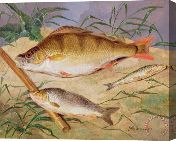 D Wolstenholme  An Angler's Catch of Coarse Fish Stretched Canvas Painting / Canvas Art