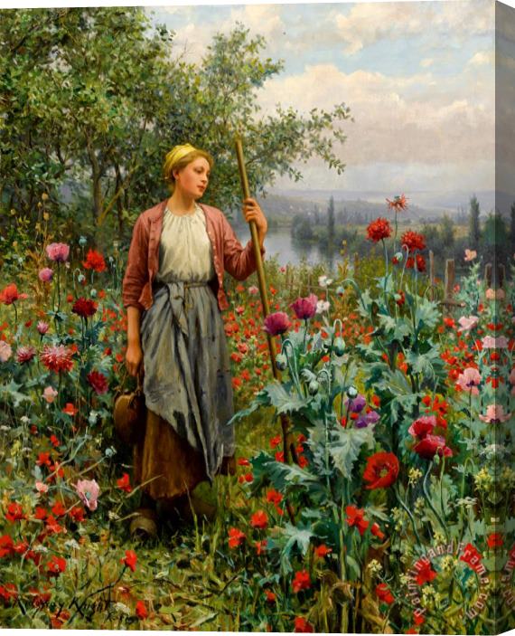 Daniel Ridgway Knight Poppies Stretched Canvas Painting / Canvas Art