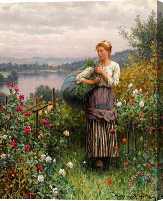 Daniel Ridgway Knight The Rose Garden Stretched Canvas Painting / Canvas Art