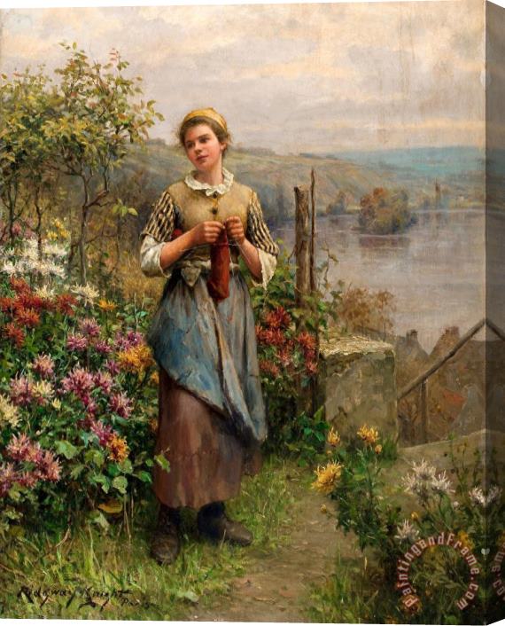 Daniel Ridgway Knight Young Woman Knitting Stretched Canvas Print / Canvas Art