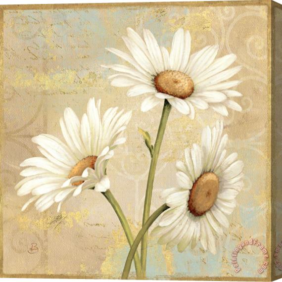 Daphne Brissonnet Beautiful Daisies II Stretched Canvas Painting / Canvas Art