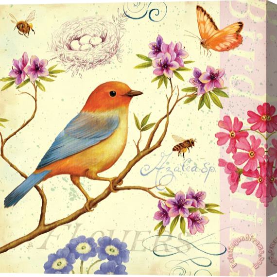 Daphne Brissonnet Birds And Bees II Stretched Canvas Painting / Canvas Art