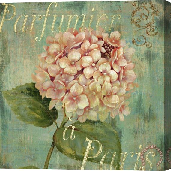 Daphne Brissonnet Vintage Fragrance IV Stretched Canvas Print / Canvas Art