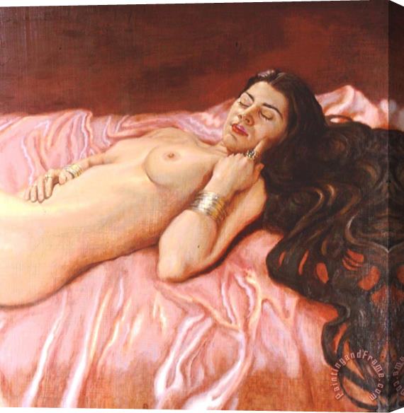 David Hardy Shabnon Sleeping Stretched Canvas Painting / Canvas Art