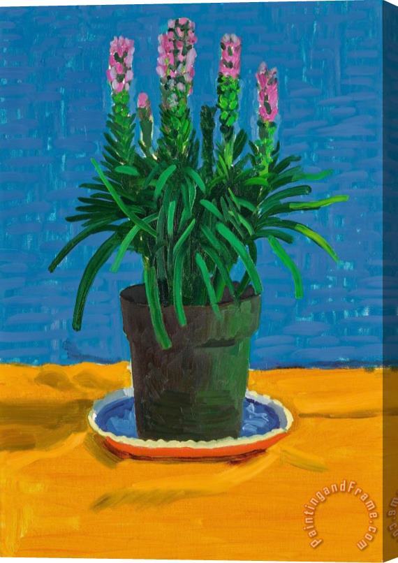 David Hockney Plant on Yellow Cloth, 1995 Stretched Canvas Print / Canvas Art