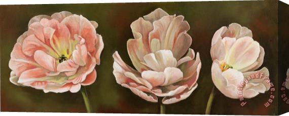 Debra Lake Blooming 1 Stretched Canvas Painting / Canvas Art