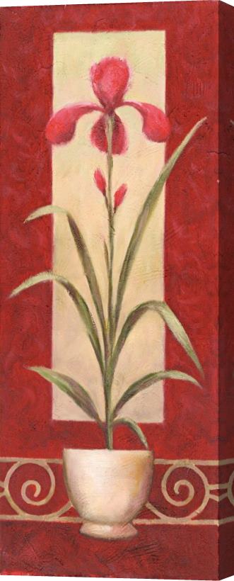 Debra Lake Red And Red 1 Stretched Canvas Painting / Canvas Art