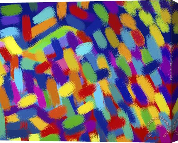 Diana Ong Abstractions Stretched Canvas Print / Canvas Art